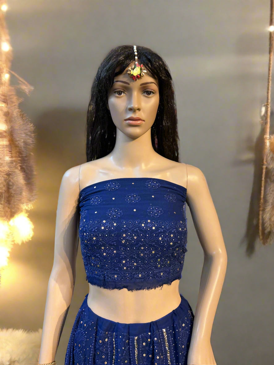 Lucknowi Chikankari Blue Viscose Lehenga-Blouse-Dupatta-PF200001