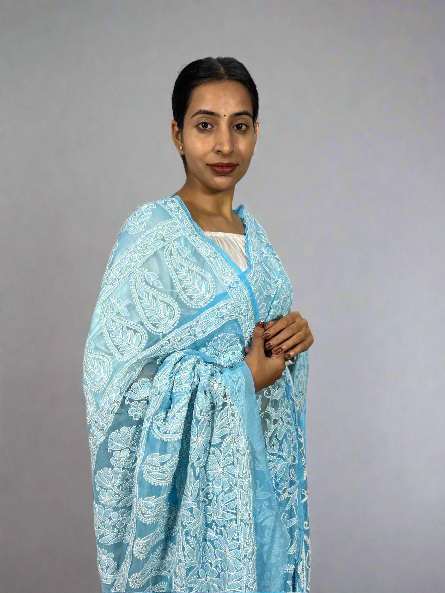 Lucknowi Chikankari Sky Blue Georgette Saree (With Blouse)-PF100008