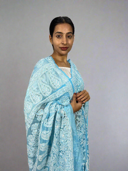 Lucknowi Chikankari Sky Blue Georgette Saree (With Blouse)-PF100008